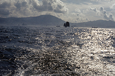 1973 Hong Kong